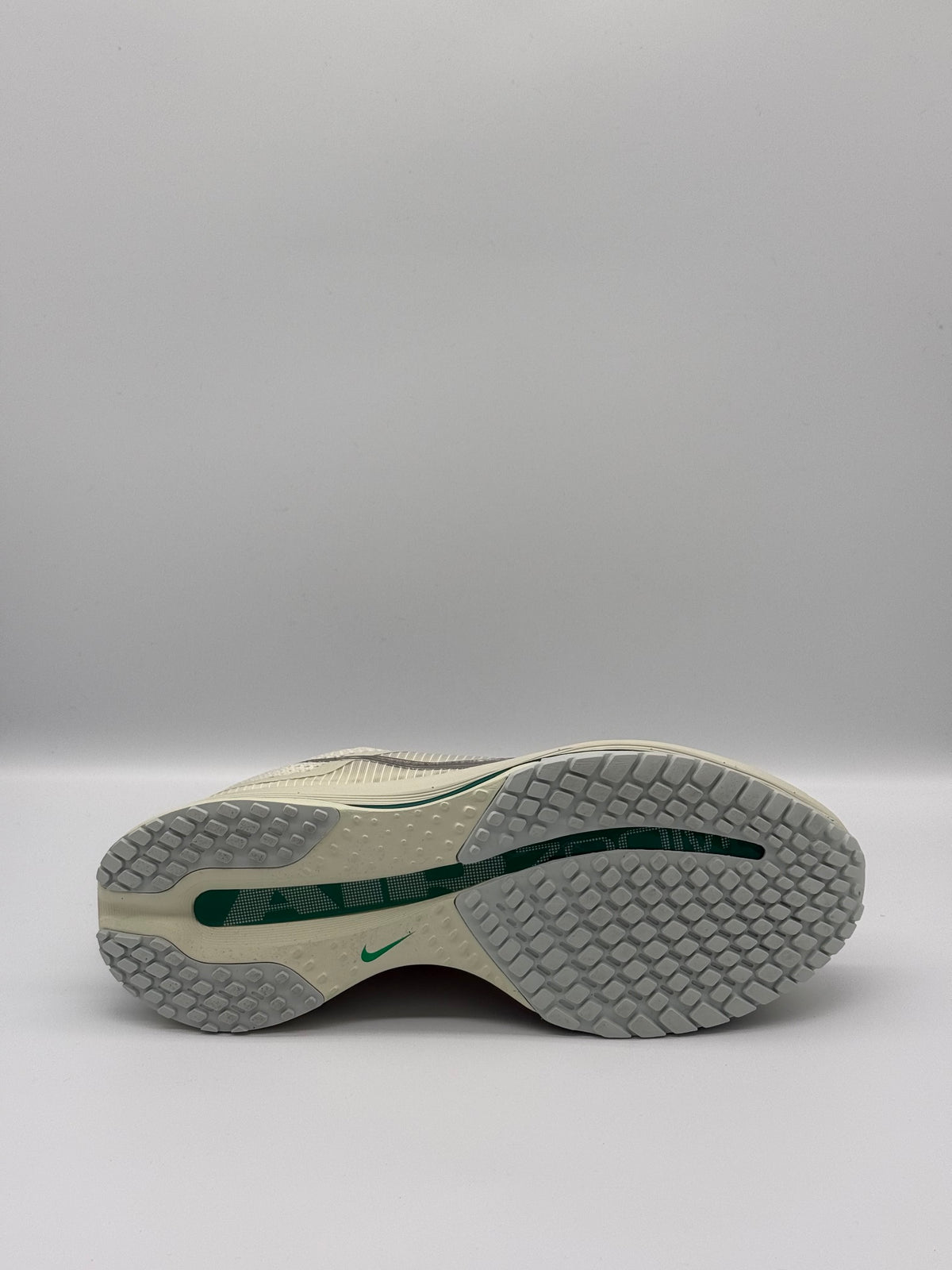 Women's Nike Pegasus Premium, HQ2593 008, Sea Glass/Metallic Silver - Size W US8.5